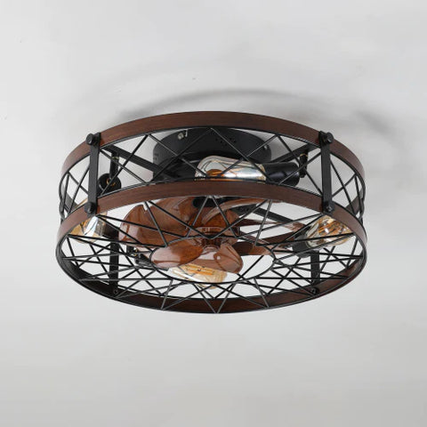 Ceiling Fan Light